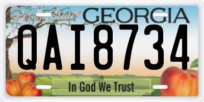 GA license plate QAI8734