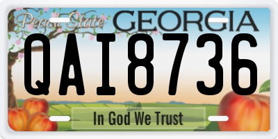 GA license plate QAI8736
