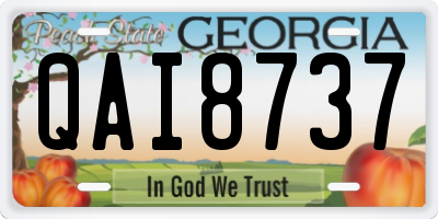 GA license plate QAI8737