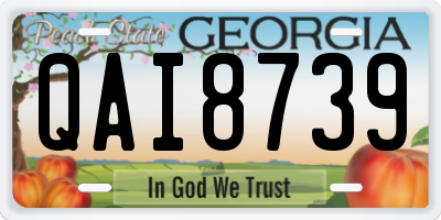 GA license plate QAI8739