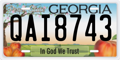 GA license plate QAI8743
