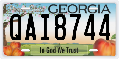 GA license plate QAI8744