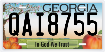 GA license plate QAI8755