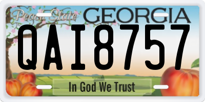 GA license plate QAI8757