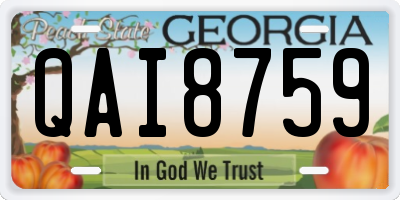 GA license plate QAI8759