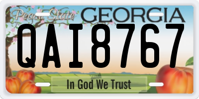 GA license plate QAI8767