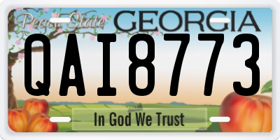 GA license plate QAI8773