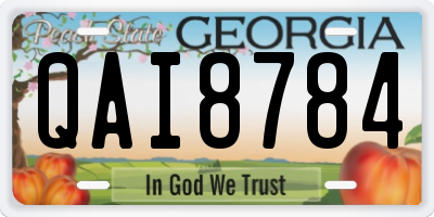 GA license plate QAI8784