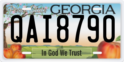 GA license plate QAI8790