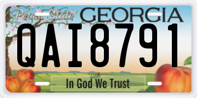 GA license plate QAI8791