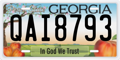 GA license plate QAI8793