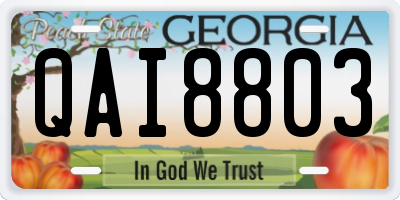 GA license plate QAI8803