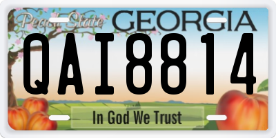 GA license plate QAI8814