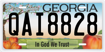 GA license plate QAI8828
