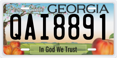 GA license plate QAI8891