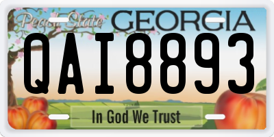 GA license plate QAI8893