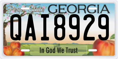 GA license plate QAI8929