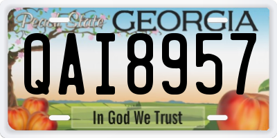 GA license plate QAI8957