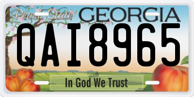 GA license plate QAI8965