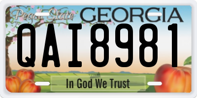 GA license plate QAI8981