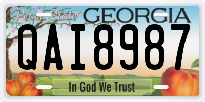 GA license plate QAI8987