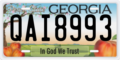 GA license plate QAI8993