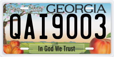 GA license plate QAI9003