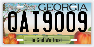 GA license plate QAI9009
