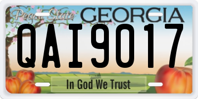 GA license plate QAI9017