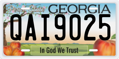 GA license plate QAI9025