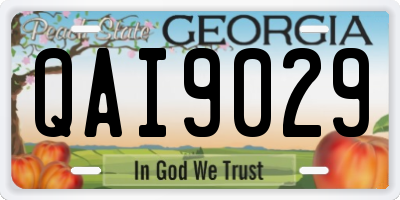 GA license plate QAI9029