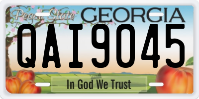 GA license plate QAI9045