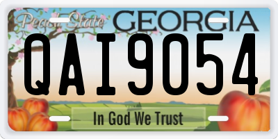 GA license plate QAI9054