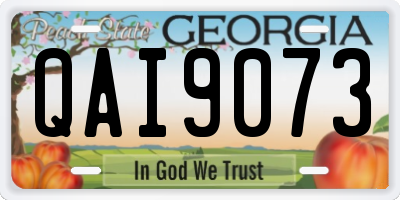 GA license plate QAI9073