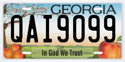 GA license plate QAI9099