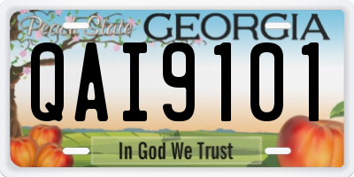 GA license plate QAI9101