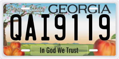 GA license plate QAI9119