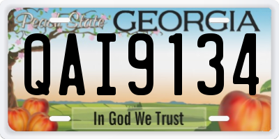 GA license plate QAI9134