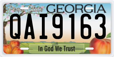 GA license plate QAI9163