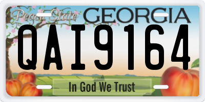 GA license plate QAI9164