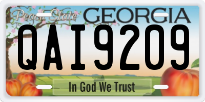 GA license plate QAI9209
