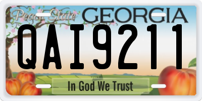 GA license plate QAI9211