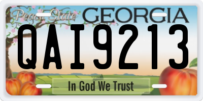 GA license plate QAI9213