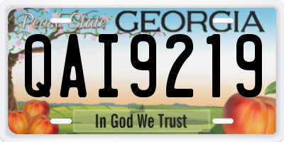 GA license plate QAI9219