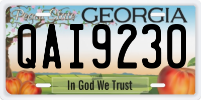 GA license plate QAI9230