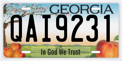 GA license plate QAI9231
