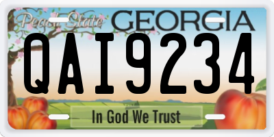 GA license plate QAI9234