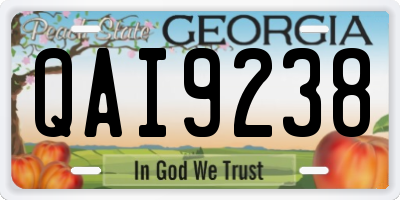 GA license plate QAI9238