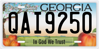 GA license plate QAI9250
