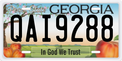 GA license plate QAI9288